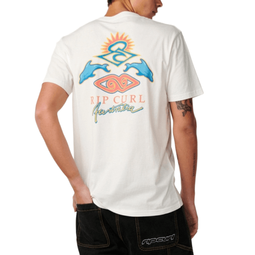 Camiseta Masculina Rip Curl Dolphin Desto BEGE-15BMTE- -1-